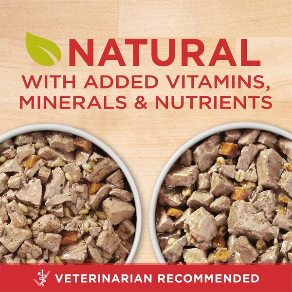 Purina ONE Wet Dog Food in Gravy, 3 Chicken & Rice, 3 Beef & Barley, 6 ct