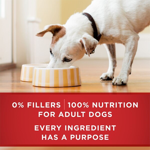Purina ONE Wet Dog Food in Gravy, 3 Chicken & Rice, 3 Beef & Barley, 6 ct
