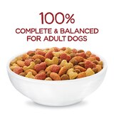 Purina Beneful Originals, Beef, 13 lb, thumbnail image