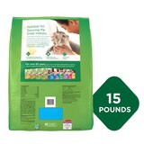 Purina Cat Chow Indoor Hairball + Healthy Weight Adult Cat Food, 15 lb, thumbnail image