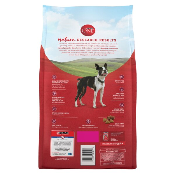 Purina ONE Small Bites, Beef & Rice, 4lb