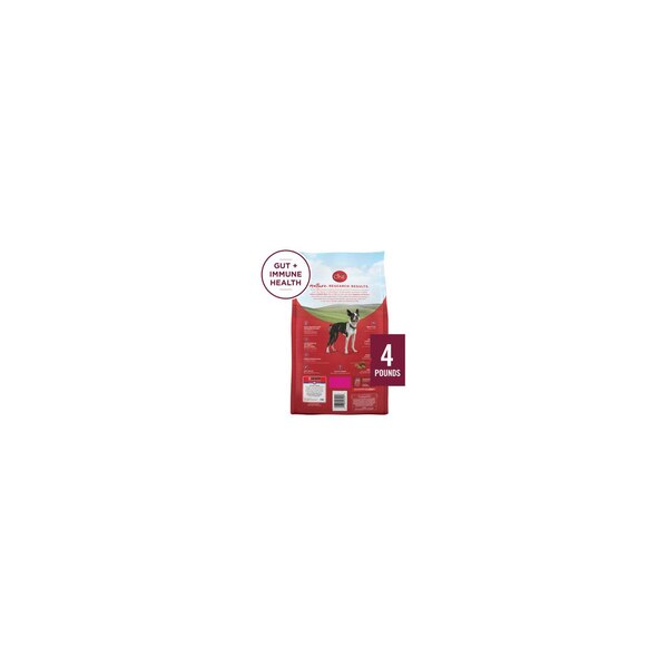 Purina ONE Small Bites, Beef & Rice, 4lb