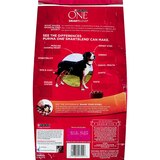 Purina ONE SmartBlend Chicken & Rice Formula Dry Dog Food, thumbnail image