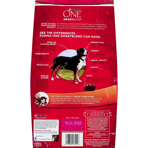 Purina ONE SmartBlend Chicken & Rice Formula Dry Dog Food