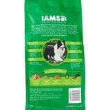 IAMS Proactive Health Adult Minichunks Dry, Dog Food, thumbnail image