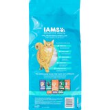 IAMS Proactive Health Indoor Weight and Hairball Care, Dry Cat Food, thumbnail image