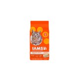 IAMS Proactive Healthy Adult Original Chicken Recipe, Dy Cat Food, thumbnail image