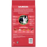 IAMS Minichunks Adult Dog Dry Food, Lamb & Rice Recipe, 3.3 lb, thumbnail image