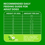 IAMS Minichunks Adult Dog Dry Food, Lamb & Rice Recipe, 3.3 lb, thumbnail image