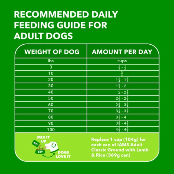 IAMS Minichunks Adult Dog Dry Food, Lamb & Rice Recipe, 3.3 lb