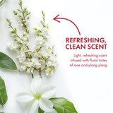 Ban 24-Hour Antiperspirant & Deodorant Roll-On, Regular, 3.5 OZ, thumbnail image