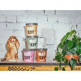 Oatly Vanilla Non-Dairy Frozen Dessert, 16 OZ, thumbnail image