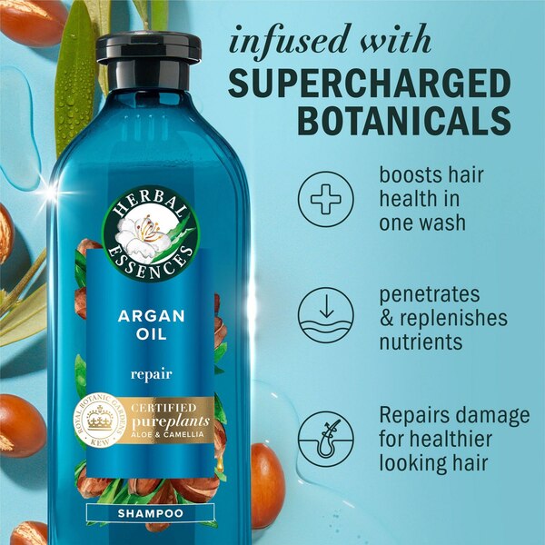 Herbal Essences Bio Renew Argan Oil Repair Shampoo, 13.5 OZ