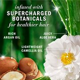 Herbal Essences Bio Renew Argan Oil Repair Shampoo, 13.5 OZ, thumbnail image