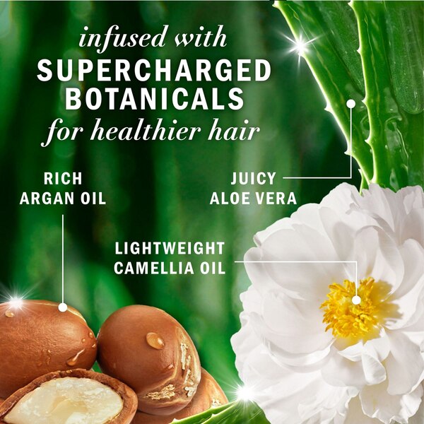 Herbal Essences Bio Renew Argan Oil Repair Shampoo, 13.5 OZ