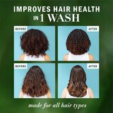 Herbal Essences Bio Renew Argan Oil Repair Shampoo, 13.5 OZ, thumbnail image