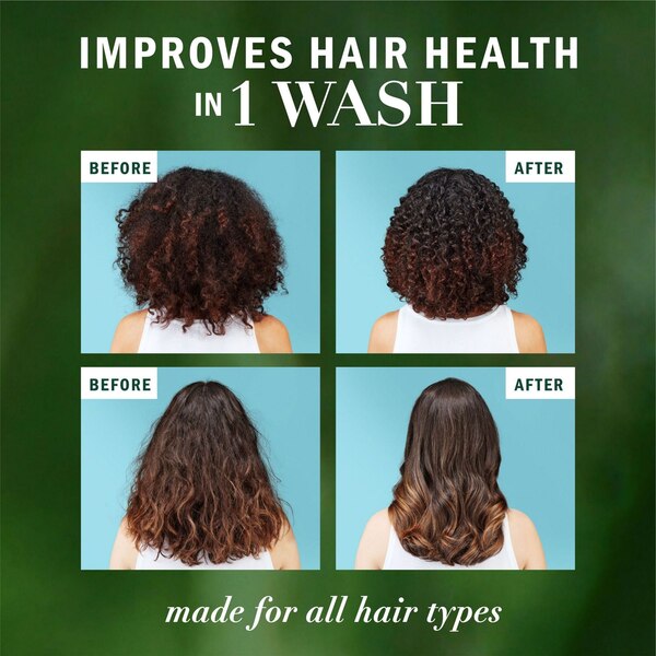Herbal Essences Bio Renew Argan Oil Repair Shampoo, 13.5 OZ