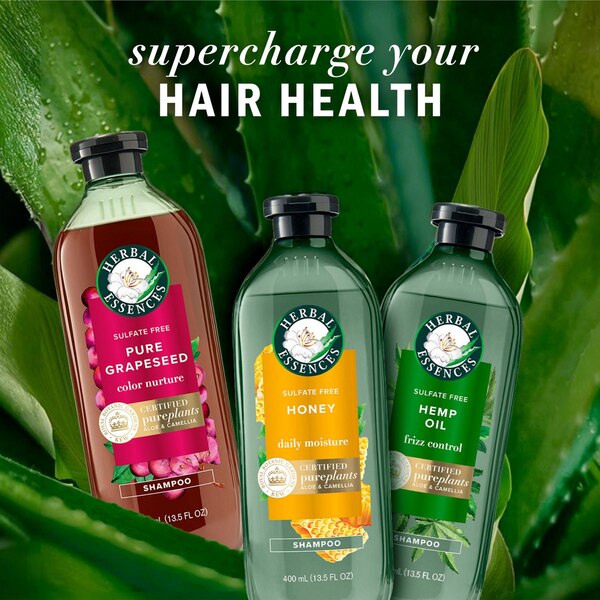 Herbal Essences Bio Renew Potent Aloe & Hemp Frizz Control Shampoo