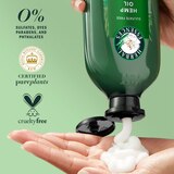 Herbal Essences Bio Renew Potent Aloe & Hemp Frizz Control Conditioner, thumbnail image