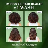 Herbal Essences Bio Renew Potent Aloe & Hemp Frizz Control Conditioner, thumbnail image