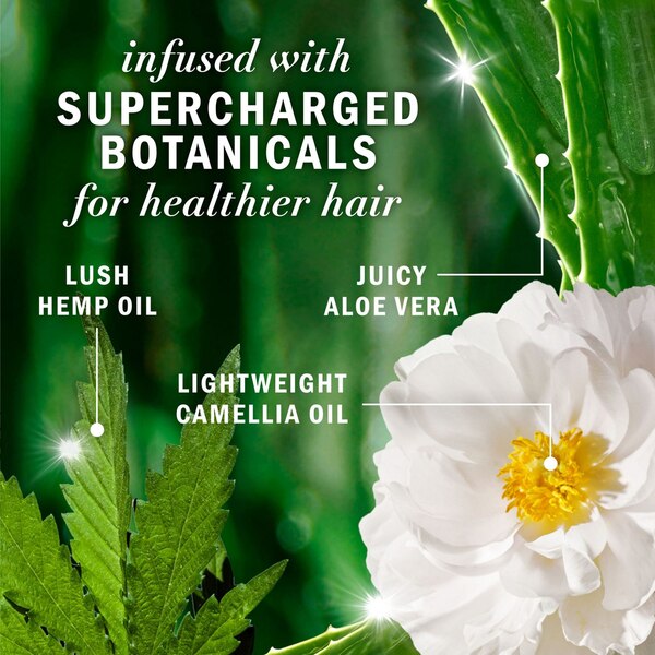 Herbal Essences Bio Renew Potent Aloe & Hemp Frizz Control Conditioner