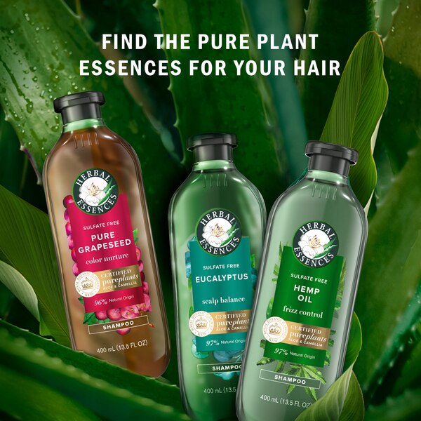 Herbal Essences Bio Renew Aloe & Eucalyptus Scalp Balance Shampoo, 13.5 OZ