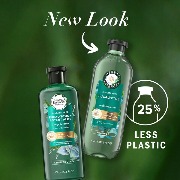Herbal Essences Bio Renew Aloe & Eucalyptus Scalp Balance Shampoo, 13.5 OZ