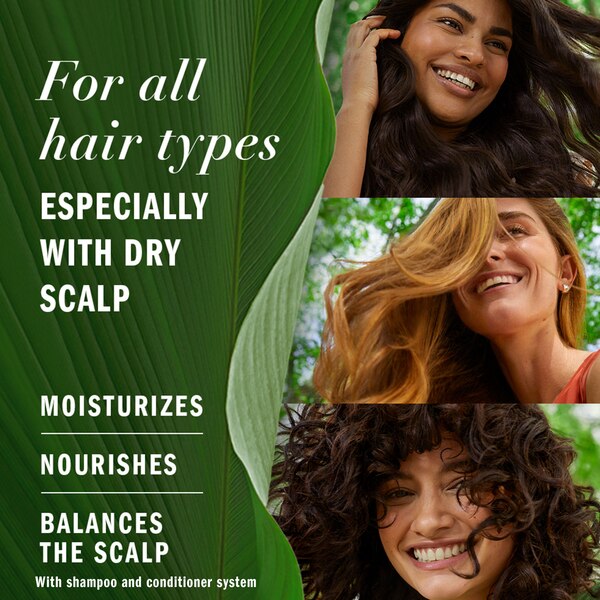 Herbal Essences Bio Renew Aloe & Eucalyptus Scalp Balance Shampoo, 13.5 OZ