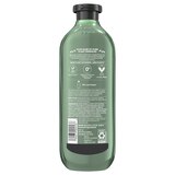 Herbal Essences Bio Renew Aloe & Eucalyptus Scalp Balance Conditioner, 13.5 OZ, thumbnail image 2 of 9