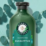 Herbal Essences Bio Renew Aloe & Eucalyptus Scalp Balance Conditioner, 13.5 OZ, thumbnail image 4 of 9
