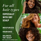 Herbal Essences Bio Renew Aloe & Eucalyptus Scalp Balance Conditioner, 13.5 OZ, thumbnail image 5 of 9