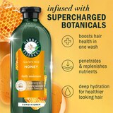 Herbal Essences Bio:Renew Honey & Vitamin B Sulfate-Free Conditioner, 13.5 OZ, thumbnail image 2 of 8
