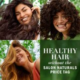 Herbal Essences Bio:Renew Honey & Vitamin B Sulfate-Free Conditioner, 13.5 OZ, thumbnail image