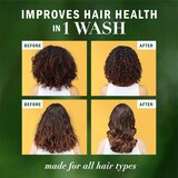 Herbal Essences Bio:Renew Honey & Vitamin B Sulfate-Free Conditioner, 13.5 OZ, thumbnail image