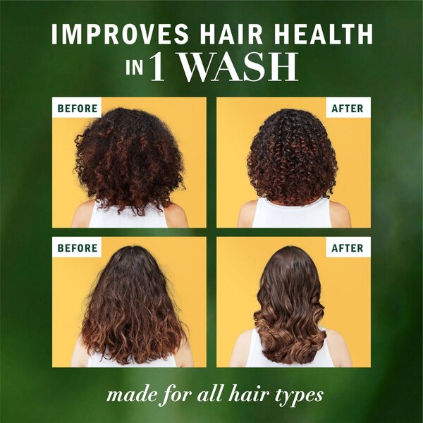 Herbal Essences Bio:Renew - Acondicionador sin sulfato, con vitamina B y miel, 13.5 oz