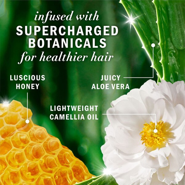 Herbal Essences Bio:Renew - Acondicionador sin sulfato, con vitamina B y miel, 13.5 oz