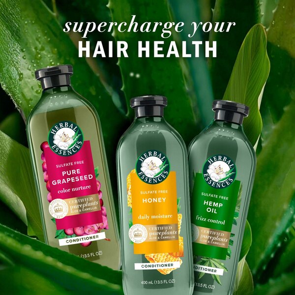Herbal Essences Bio:Renew - Acondicionador sin sulfato, con vitamina B y miel, 13.5 oz