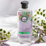Herbal Essences Jojoba Oil & Lavender Curly Hair Shampoo, thumbnail image