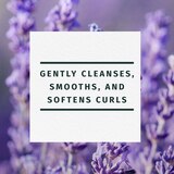 Herbal Essences Jojoba Oil & Lavender Curly Hair Shampoo, thumbnail image