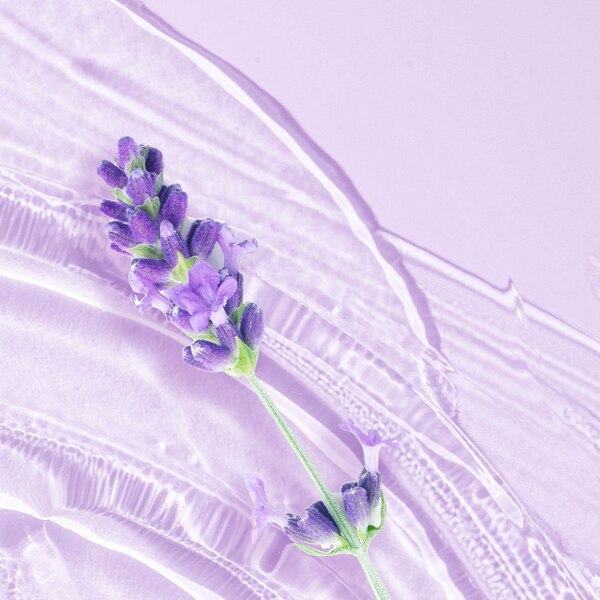 Herbal Essences Jojoba Oil & Lavender Curly Hair Shampoo
