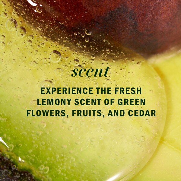Herbal Essences Bio Renew Avocado & Argan Oil Repairing Shampoo