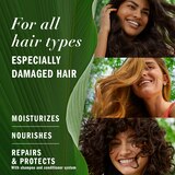 Herbal Essences Bio Renew Avocado & Argan Oil Repairing Conditioner, 13.5 OZ, thumbnail image