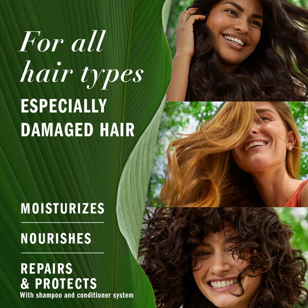 Herbal Essences Bio Renew Avocado & Argan Oil Repairing Conditioner, 13.5 OZ