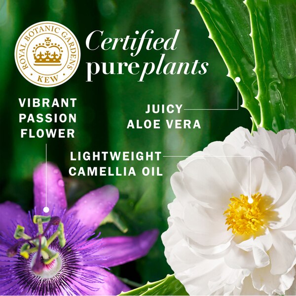 Herbal Essences Bio Renew Passion Flower & Grapefruit Volumizing Shampoo