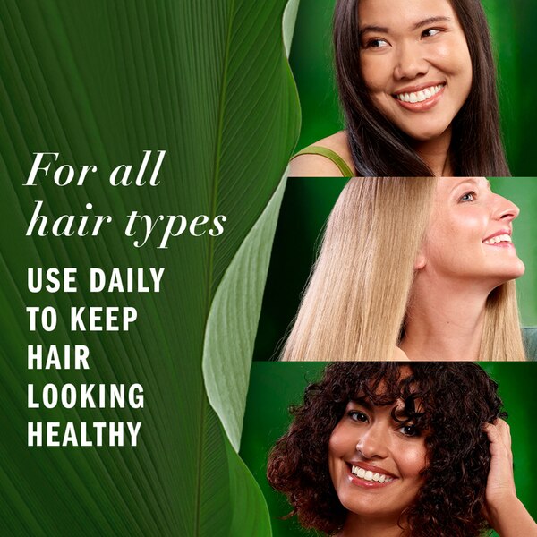 Herbal Essences Lightweight Hair Oil, 3.2 OZ