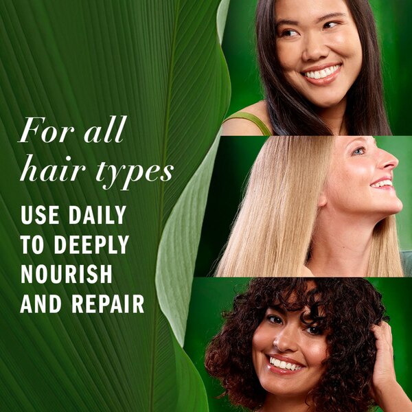 Herbal Essences Pure Plants Repairing Leave-in Conditioner, 7.6 OZ