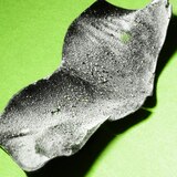 Biore Deep Cleansing Charcoal Strips, 6CT, thumbnail image 3 of 13