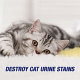 Resolve Urine Destroyer Stain & Odor Remover Spray, 32 oz, thumbnail image