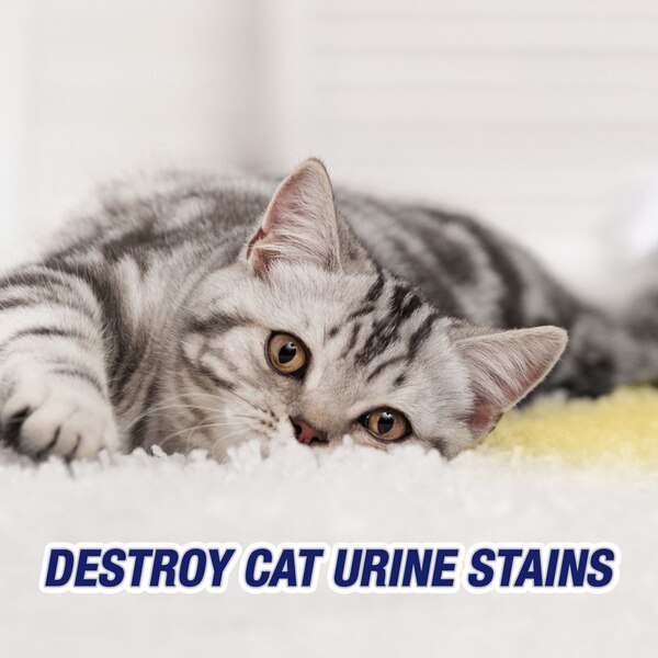 Resolve Urine Destroyer Stain & Odor Remover Spray, 32 oz