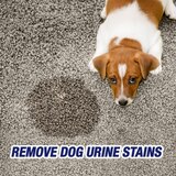 Resolve Urine Destroyer Stain & Odor Remover Spray, 32 oz, thumbnail image